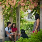 housing th1.426x426.1600x0